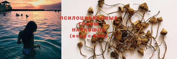 таблы Магас
