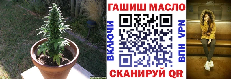 OMG как зайти  Жуковка  ТГК THC oil 
